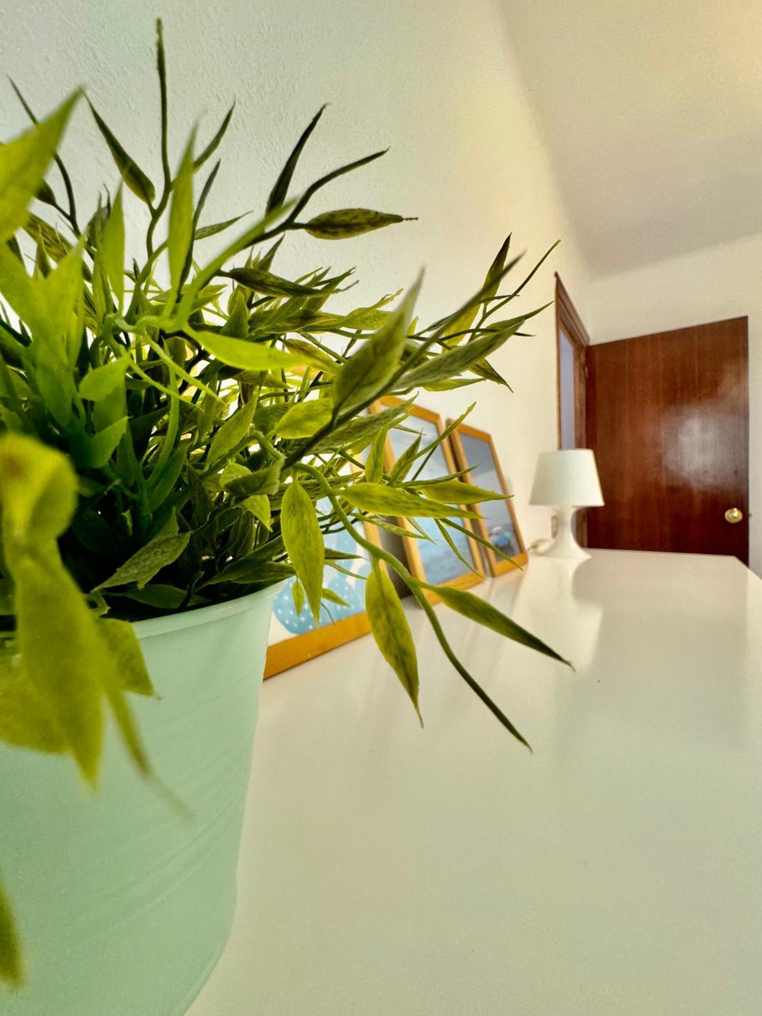 Acogedor apartamento en Málaga Exterior foto