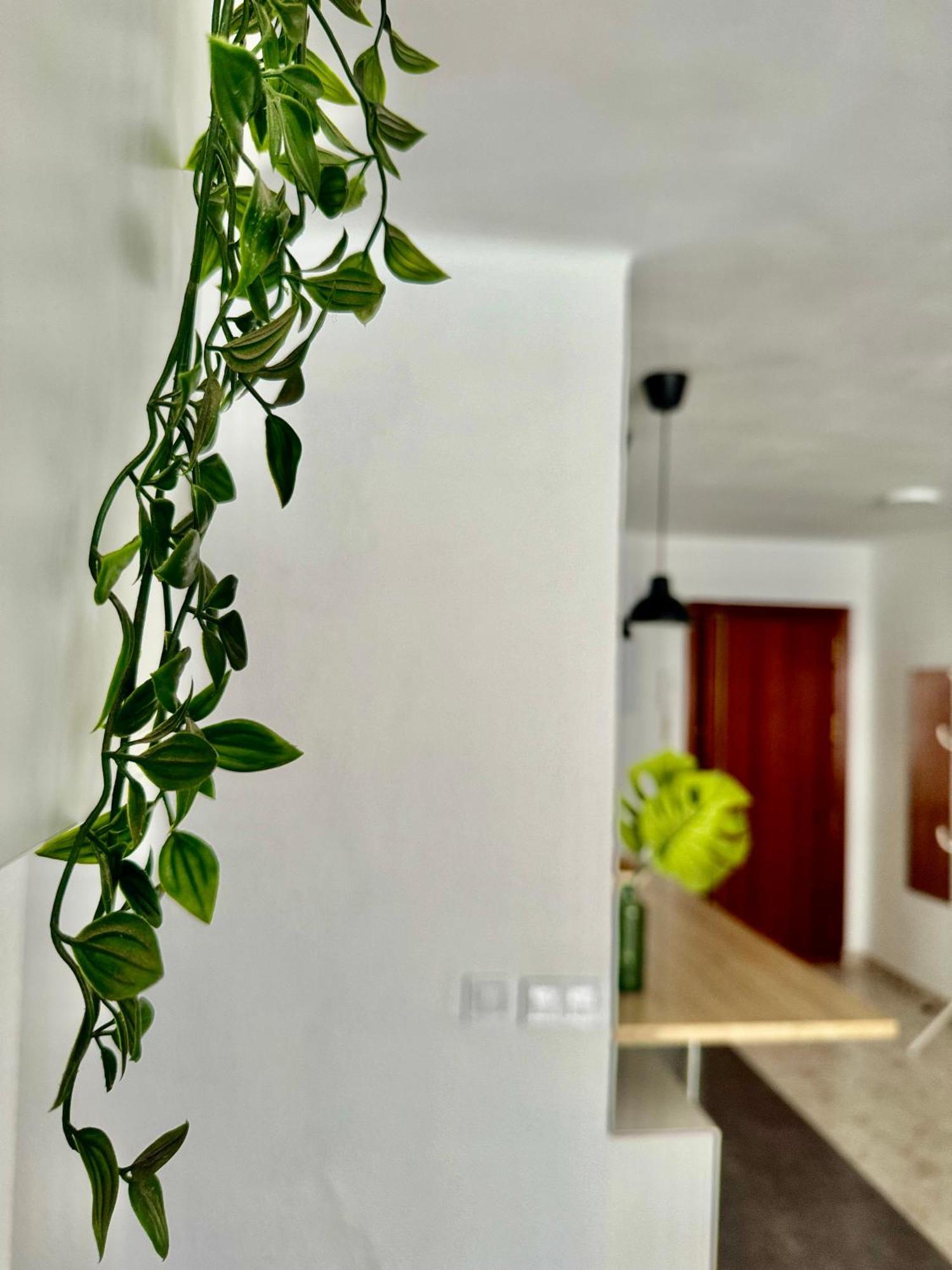 Acogedor apartamento en Málaga Exterior foto